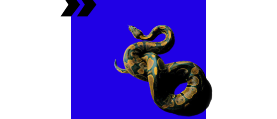 increase python performance