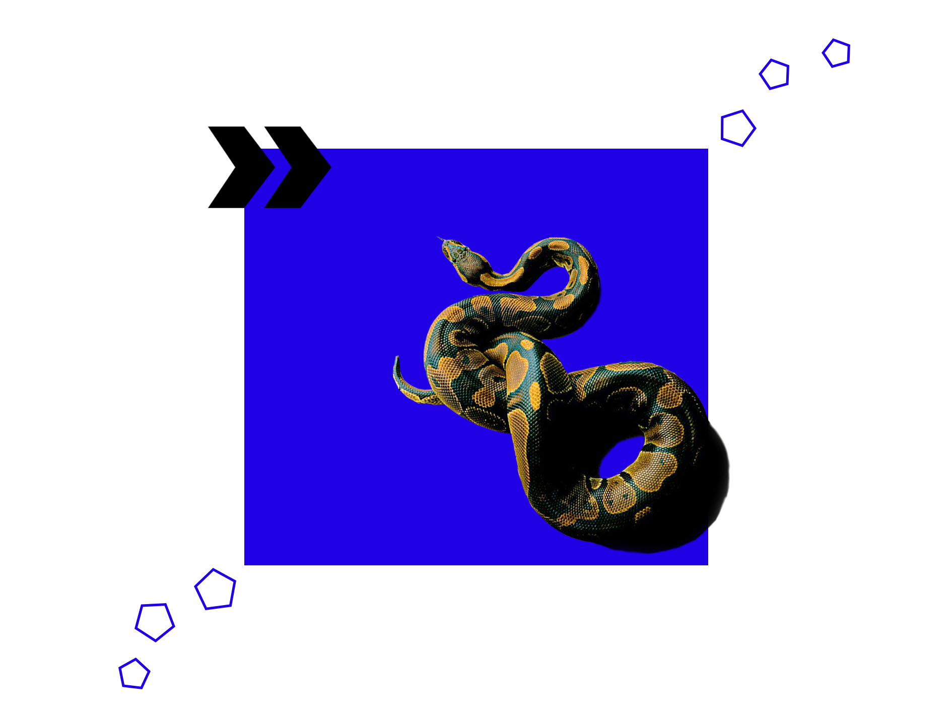 python-performance-optimization-actionable-guide-jellyfish-tech