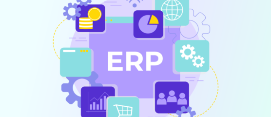 Сustom ERP Development V2