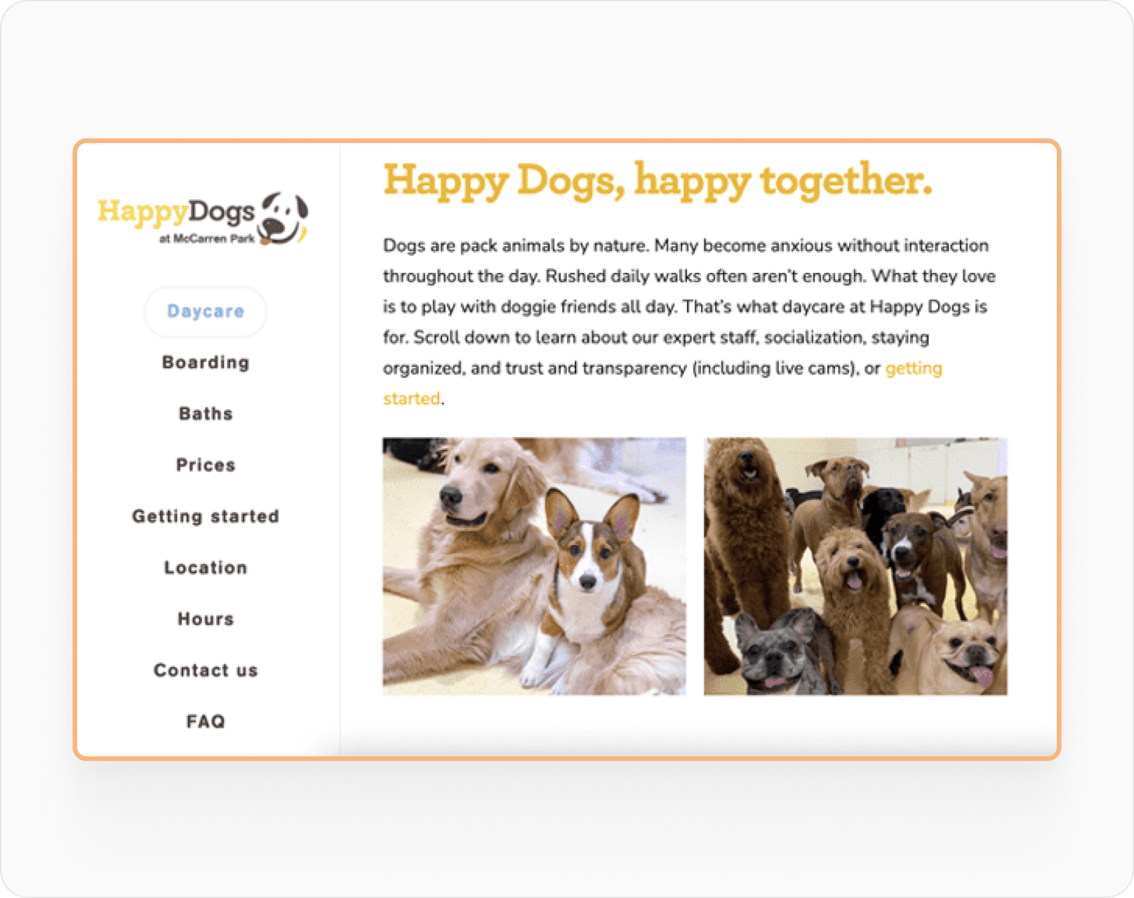 HappyDogs Daycare